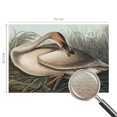 Vlies fototapet med motiv af en naturlig fugl
