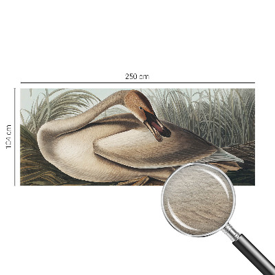 Vlies fototapet Naturlig fugl