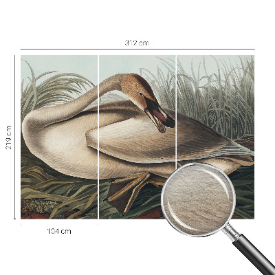 Vlies fototapet Naturlig fugl