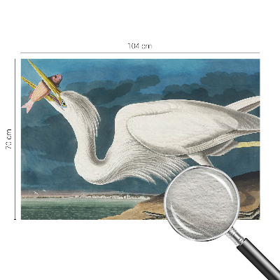 Tapet væg Fugl med fisk