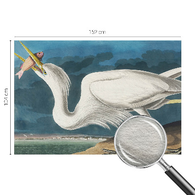 Tapet væg Fugl med fisk