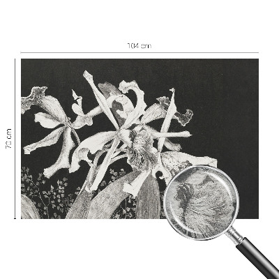 Fotovæg med illustration af en orkidé