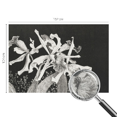 Fotovæg med illustration af en orkidé