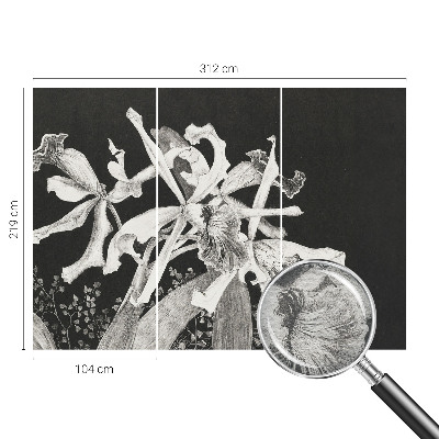 Fotovæg med illustration af en orkidé