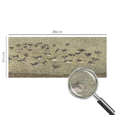 Fototapet efter mål Fuglens fred