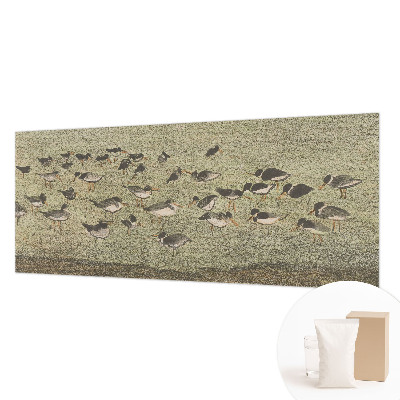 Fototapet efter mål Fuglens fred