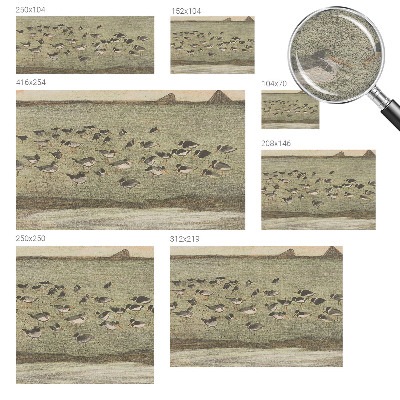 Fototapet efter mål Fuglens fred