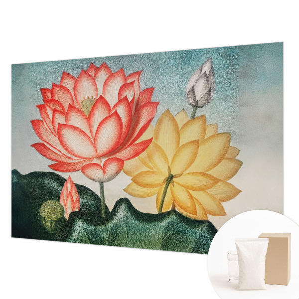 Fototapet med motiv af lotusblomster