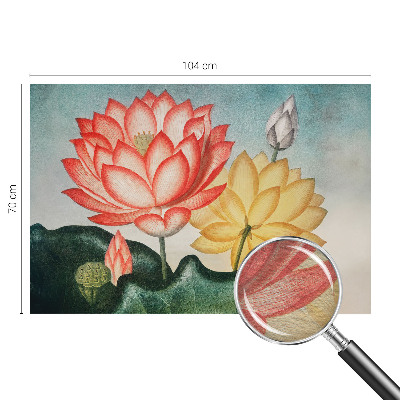 Fototapet Lotusblomster