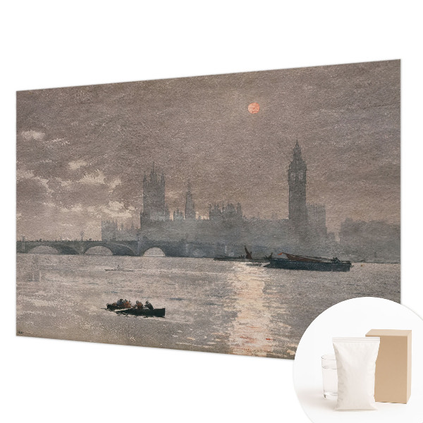 Fototapet på mål Natpanorama