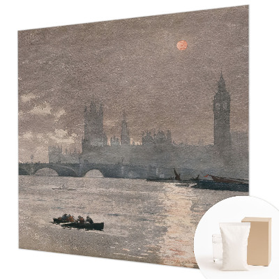 Fototapet på mål Natpanorama