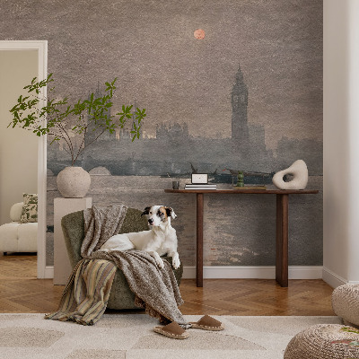 Fototapet på mål Natpanorama