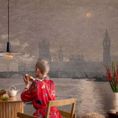 Fototapet på mål Natpanorama