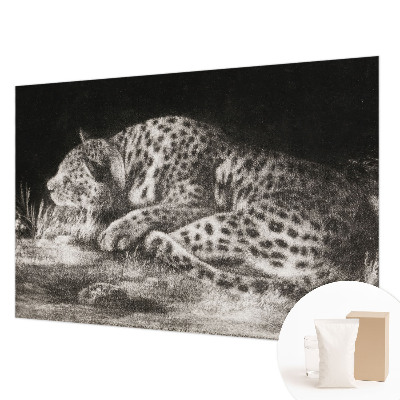 Fotovæg med motiv af en hvilende leopard
