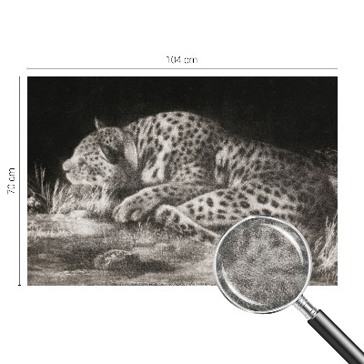 Fotovæg med motiv af en hvilende leopard