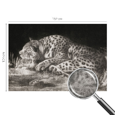 Fotovæg med motiv af en hvilende leopard