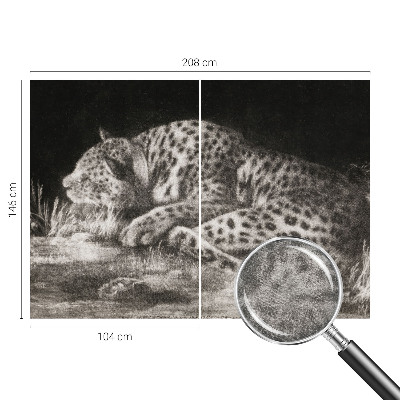 Fotovæg med motiv af en hvilende leopard