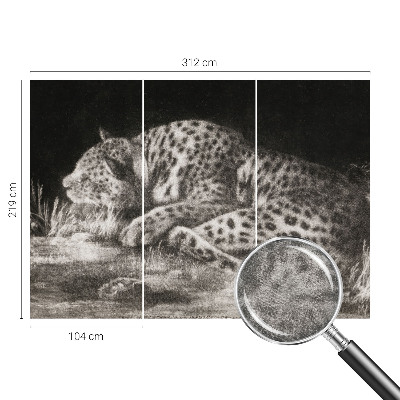 Fotovæg med motiv af en hvilende leopard