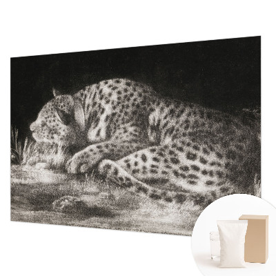 Fotovæg med motiv af en hvilende leopard