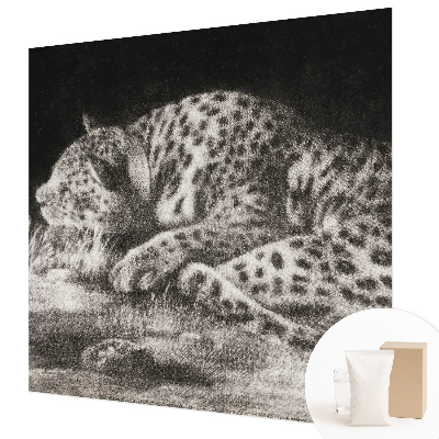 Fotovæg med motiv af en hvilende leopard