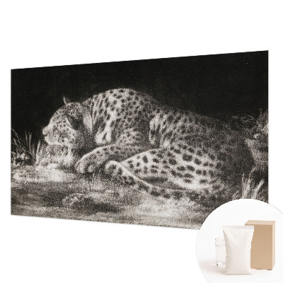 Fotovæg med motiv af en hvilende leopard