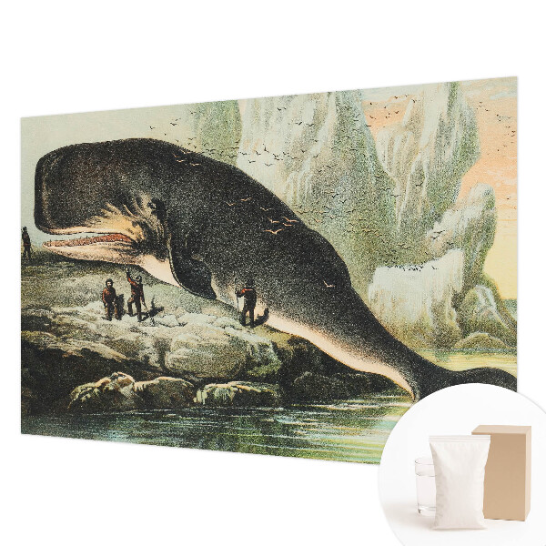 Fototapet stue Havgigantisme