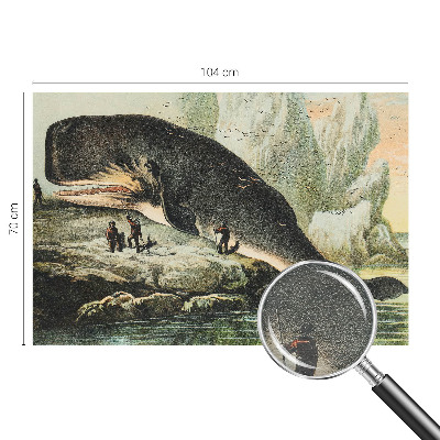 Fototapet stue Havgigantisme