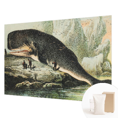 Fototapet stue Havgigantisme