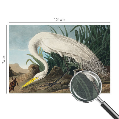 Fotovæg soveværelse Majestætisk hejre