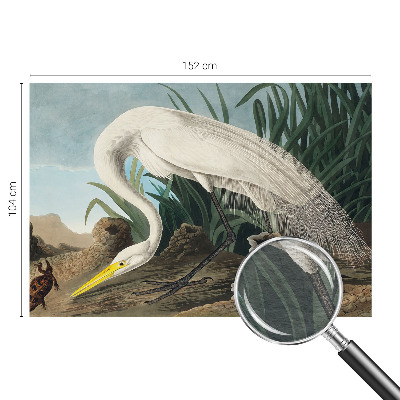 Fotovæg soveværelse Majestætisk hejre