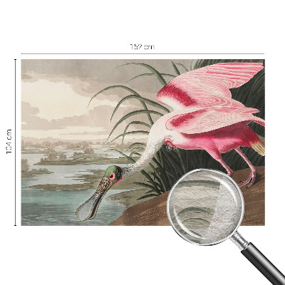 Fototapet efter mål Eksotisk fugl