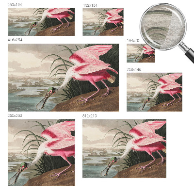 Fototapet efter mål Eksotisk fugl