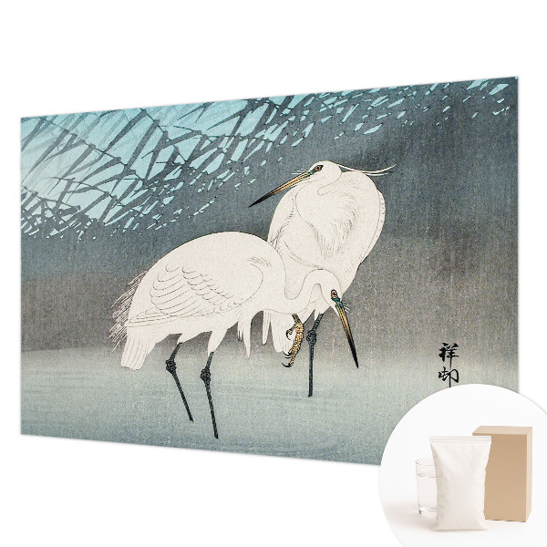 Høj kvalitet fototapet Sarte fugle