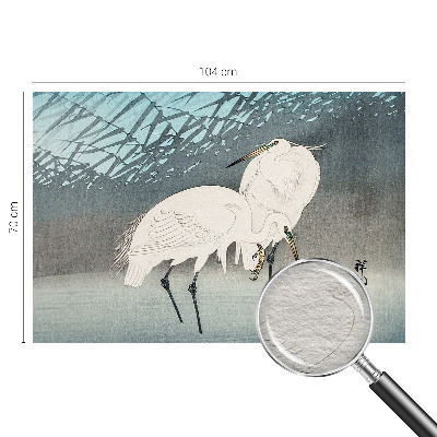 Høj kvalitet fototapet Sarte fugle