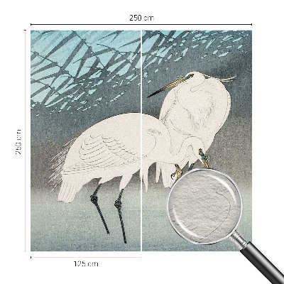 Høj kvalitet fototapet Sarte fugle