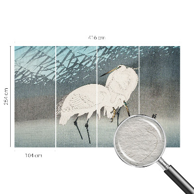 Høj kvalitet fototapet Sarte fugle