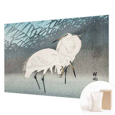 Høj kvalitet fototapet Sarte fugle