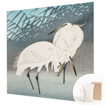 Høj kvalitet fototapet Sarte fugle