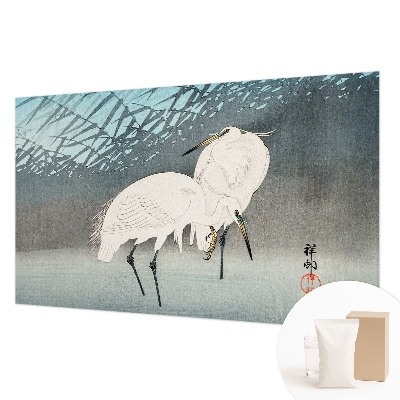 Høj kvalitet fototapet Sarte fugle