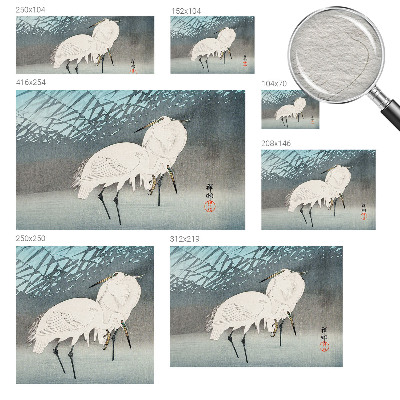 Høj kvalitet fototapet Sarte fugle