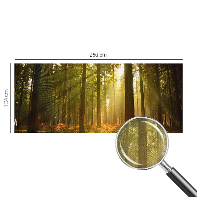 Tapet børneværelse Tapet børneværelse