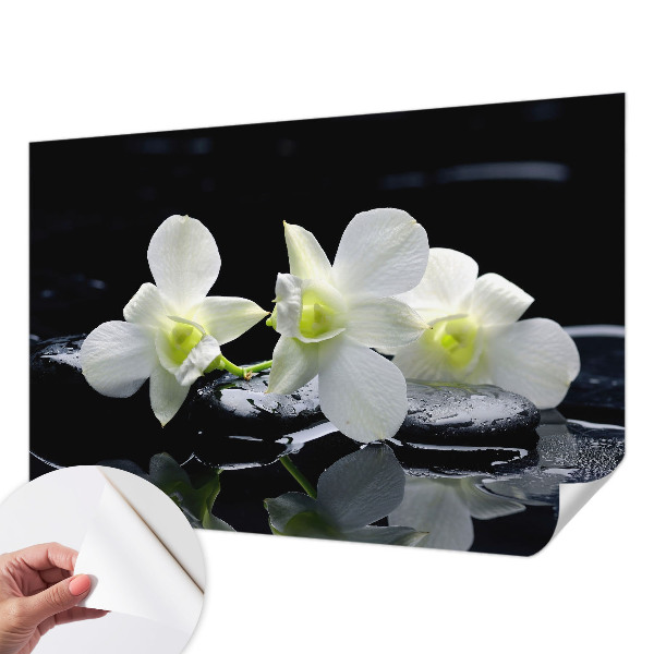 Fototapet børn Fototapet børn