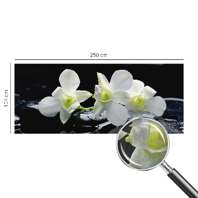 Fototapet børn Fototapet børn