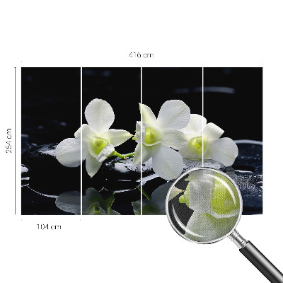 Fototapet børn Fototapet børn