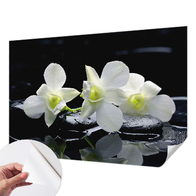 Fototapet børn Fototapet børn