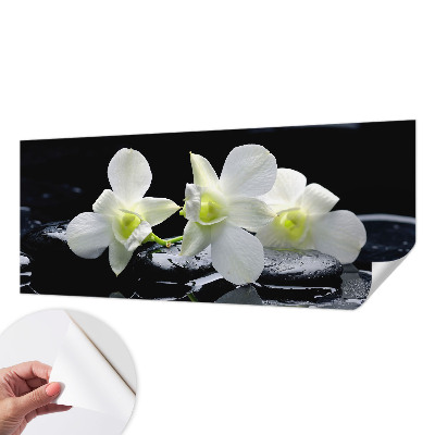 Fototapet børn Fototapet børn