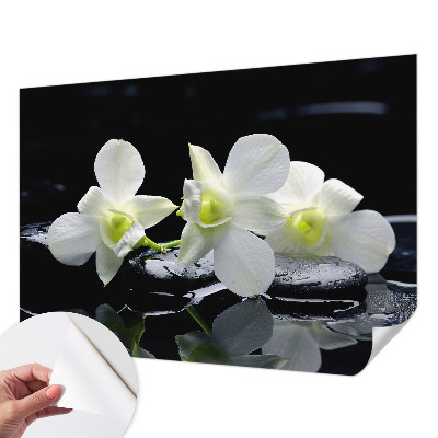 Fototapet børn Fototapet børn