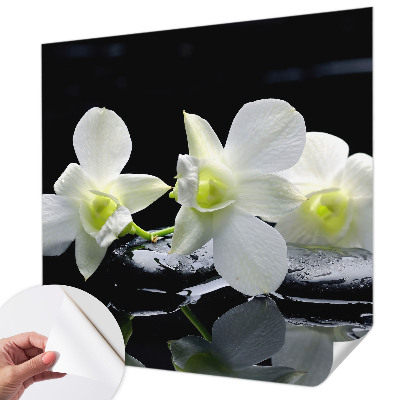 Fototapet børn Fototapet børn