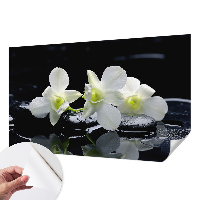 Fototapet børn Fototapet børn