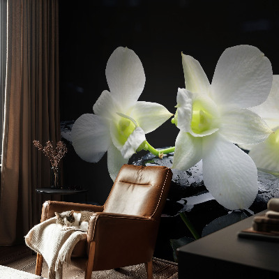 Fototapet børn Fototapet børn